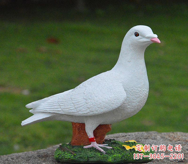 信阳美丽的和平鸽雕塑,传递暖暖的正能量