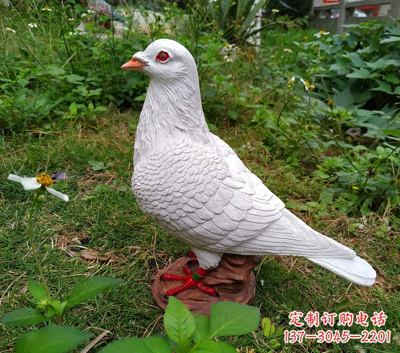 信阳为和平献芳礼:精美少女与和平鸽雕塑