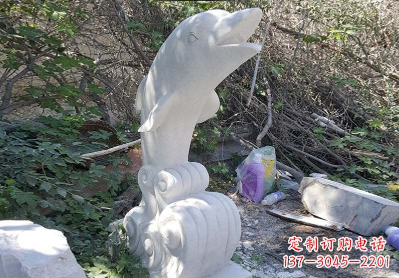 信阳海豚雕塑:悠闲无比的精灵