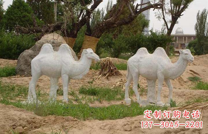 信阳欣赏大自然,石雕骆驼公园动物雕塑邀请您
