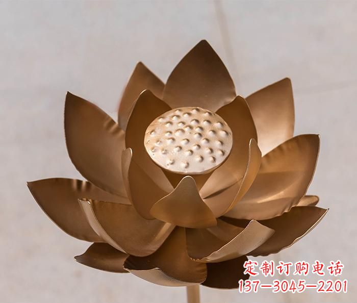 信阳铜雕景观荷花