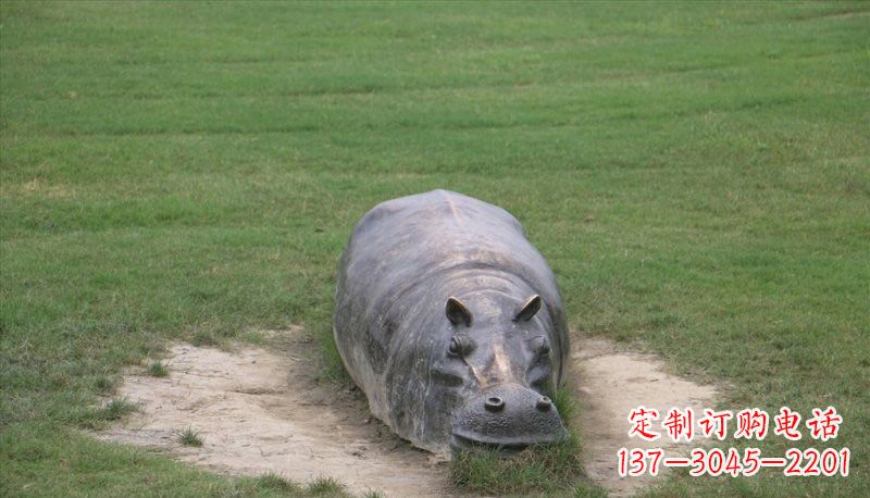 信阳铜雕趴着的河马