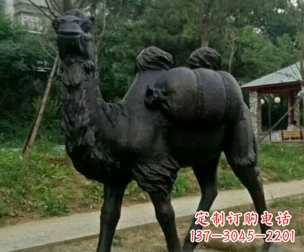 信阳驮行李的骆驼铜雕