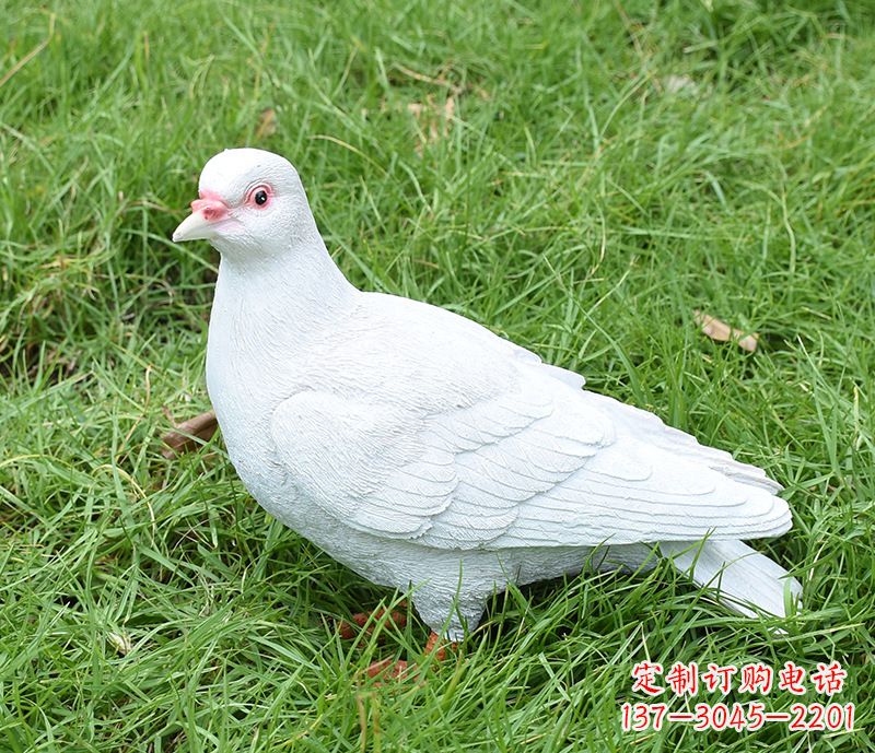 信阳潍坊和平鸽雕塑女孩