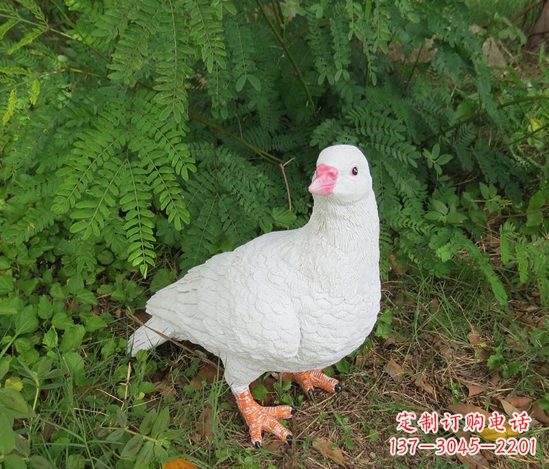信阳潍坊青年路和平鸽灰姑娘雕塑