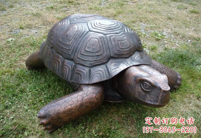 信阳乌龟铜雕222