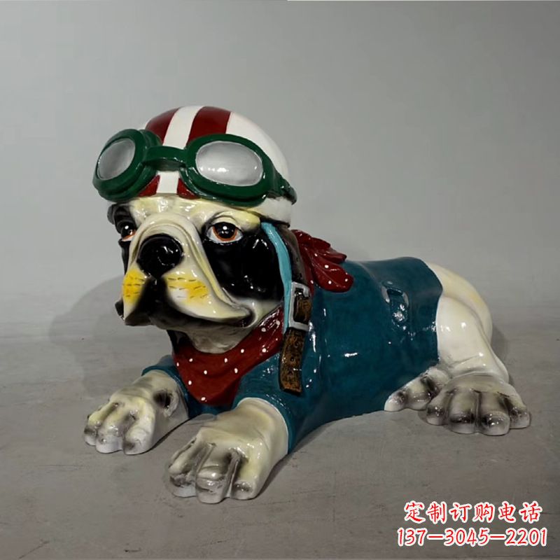信阳宇航员斗牛犬